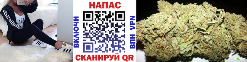 Что такое Надым Гашиш Cocaine МЕФ Галлюциногенные грибы Конопля APVP