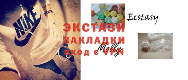 spice Богородицк