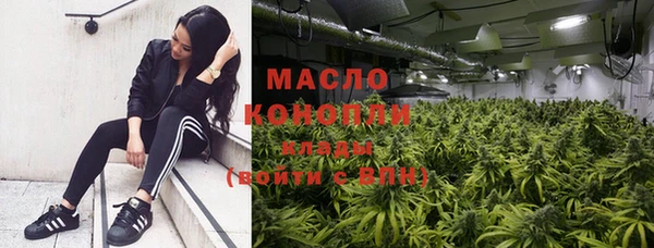 spice Богородицк