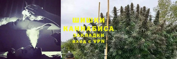 spice Богородицк