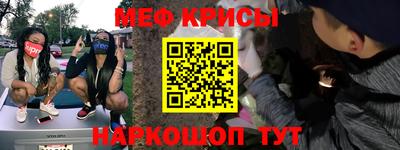 бошки Кингисепп