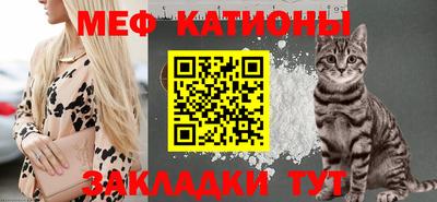 бошки Кингисепп