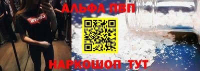 бошки Кингисепп