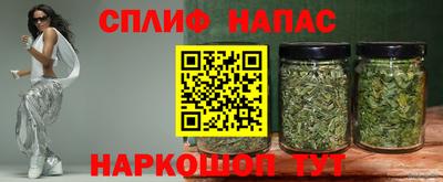бошки Кингисепп