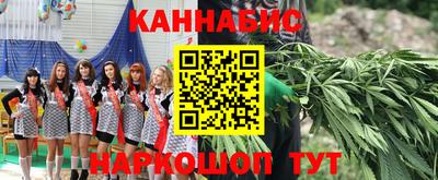 бошки Кингисепп