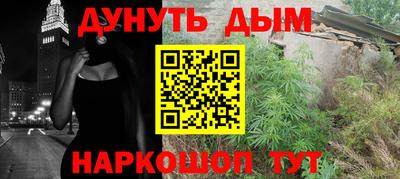 бошки Кингисепп