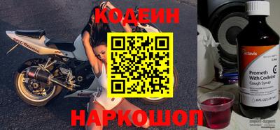 бошки Кингисепп