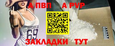 бошки Кингисепп