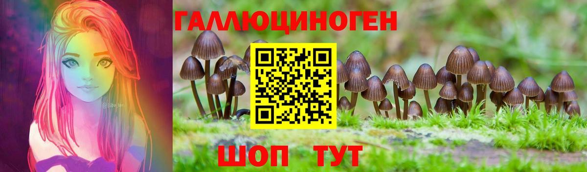 Псилоцибиновые грибы MAGIC MUSHROOMS Надым